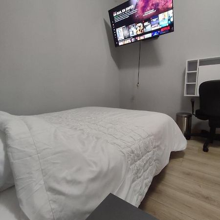 Chambre Prive Dans Une Maison Avec Terrasse Et Jardin Salles De Bain Partagees Lille Exterior photo